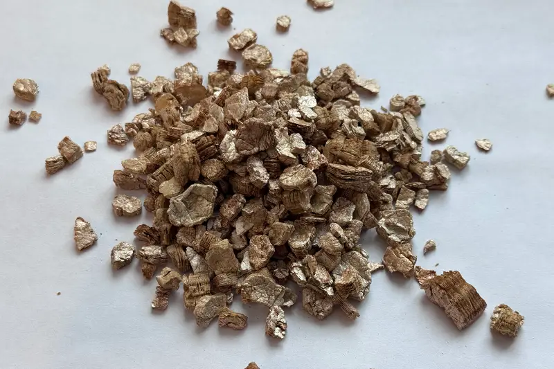 Vermikulitas stambus
